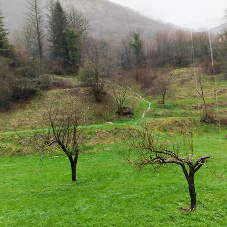 Casa Liseth Apartment